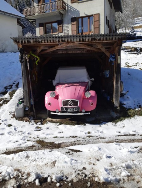 2 CV ROSE.jpg