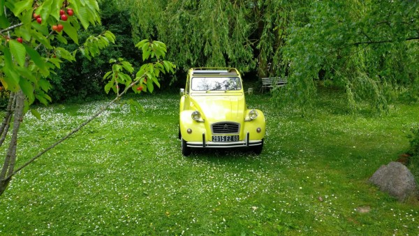 WhatsApp Image 2022-06-28 at 15.42.21.jpeg (499.21 Kio) Vu 1562 fois Arrivé chez Volker ans Tina