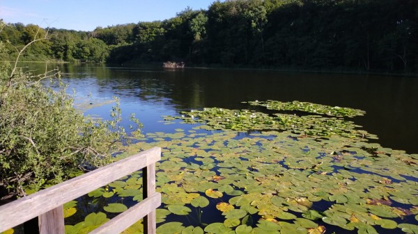 WhatsApp Image 2022-06-29 at 18.29.32.jpeg (287.21 Kio) Vu 1298 fois ballade en direction des falaises