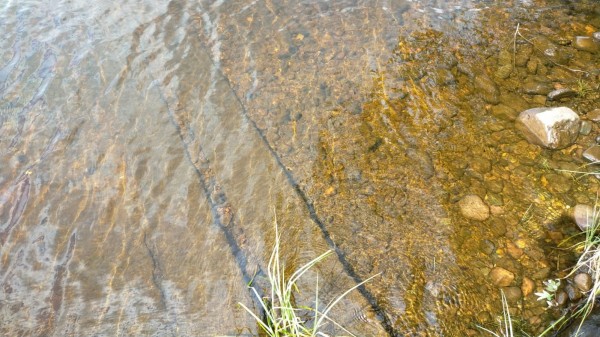 Beaucoup de rivières ont le fond couleur rouille. En effet il y a beaucoup de fer dans le sol, donc l'eau transporte de l'oxyde de fer.