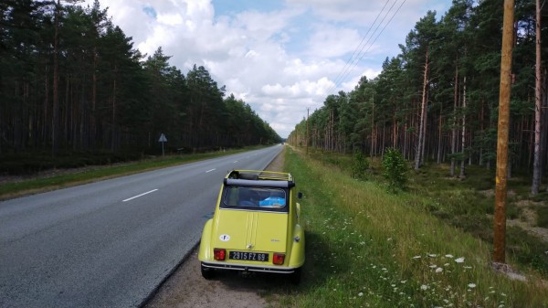 Route P131 à l'ouest de Riga, qui longe la côte aux milieux d'une forêt de pins.