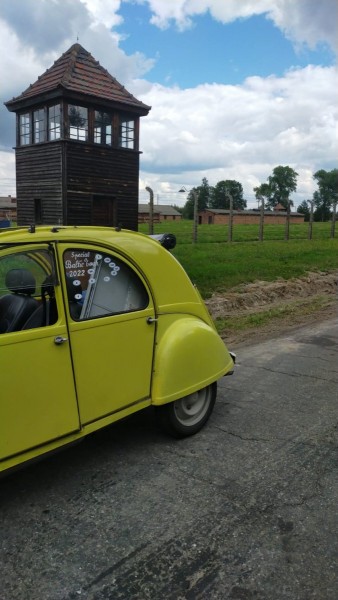 WhatsApp Image 2022-08-11 at 11.35.38.jpeg (138.87 Kio) Vu 1102 fois la barbarie humaine n'a pas de limite