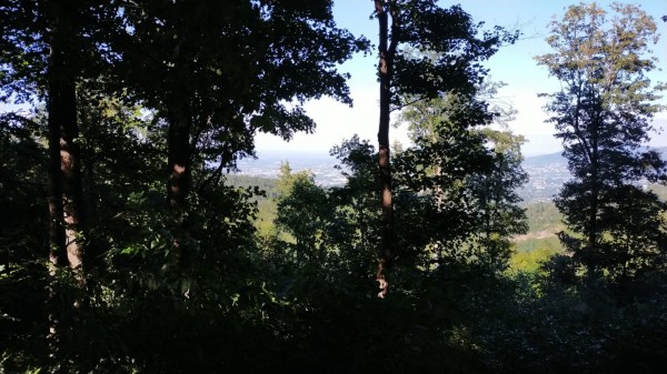 WhatsApp Image 2022-08-12 at 17.02.58.jpeg (309.77 Kio) Vu 2472 fois vu sur Bielsko