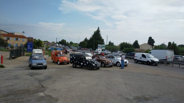 WhatsApp Image 2022-09-03 at 10.43.40.jpeg (223.95 Kio) Vu 1229 fois hier, balade en Camargue