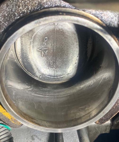 IMG_4063.jpeg (434.21 Kio) Vu 3296 fois Huileux