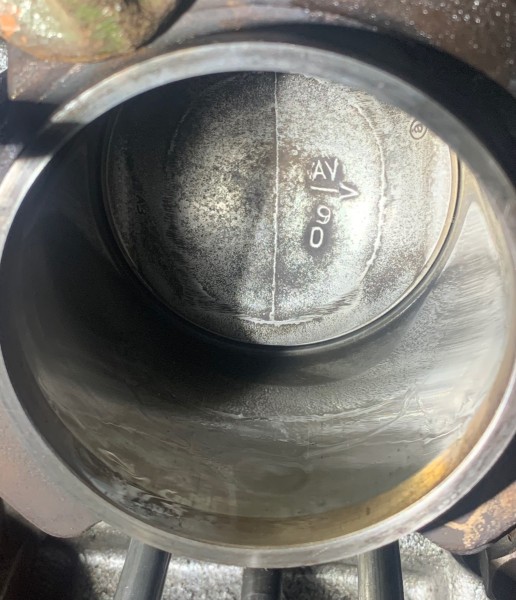 IMG_4064.jpeg (397.35 Kio) Vu 3296 fois Huileux