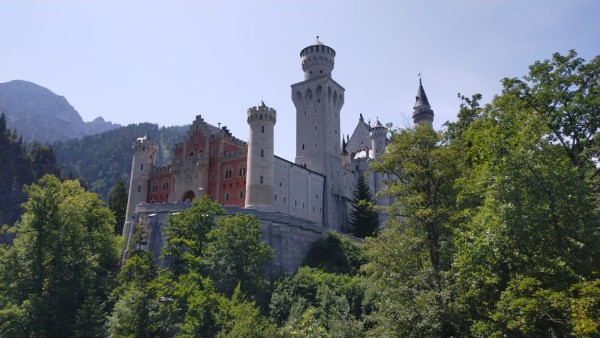 WhatsApp Image 2023-07-18 à 12.45.14.jpg (293.77 Kio) Vu 7322 fois Un peu en contre jour....