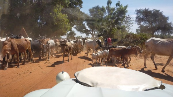 WhatsApp Image 2023-12-04 à 11.43.57_d457635d.jpg (213.14 Kio) Vu 6250 fois Petite piste sur les 14 derniers km