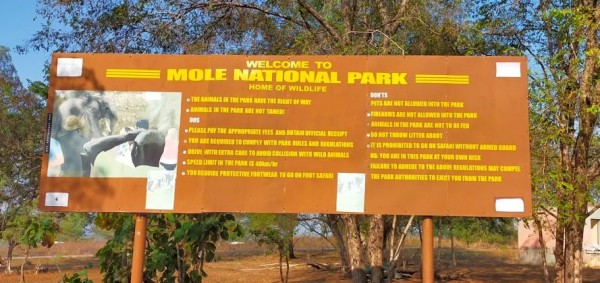 Ce matin, visite du MOLE National Park.