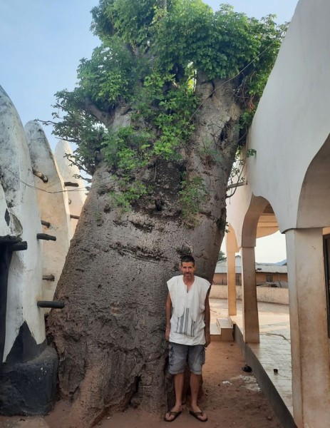 Je n'ai pas tout compris, mais ce baobab, vieux de 500 ans, a été planté en lien avec le créateur de la mosquée.