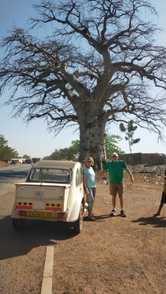 Un beau baobabe