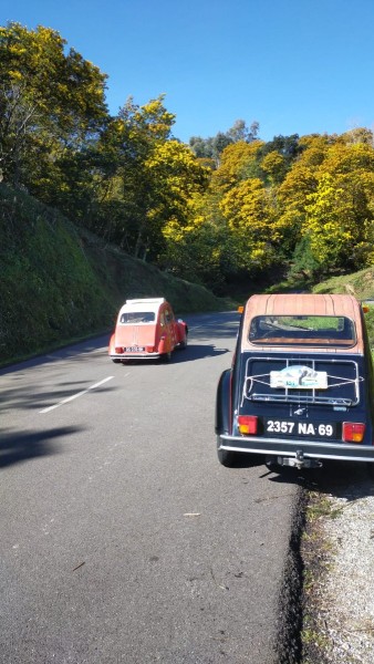 la route d'or ce matin