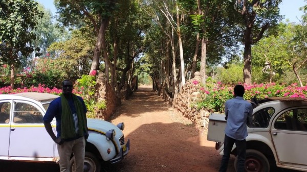 Capture 045.JPG (224.67 Kio) Vu 1768 fois belle allée menant au château