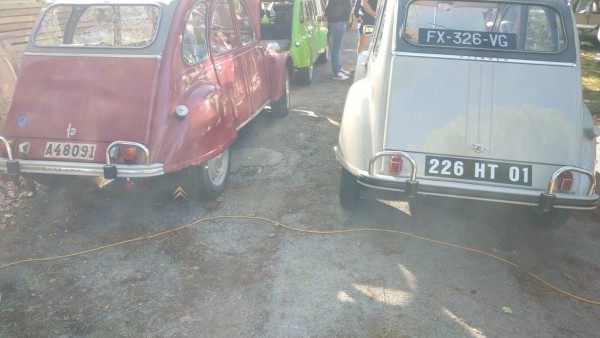 WhatsApp Image 2025-09-06 à 10.14.37_9e965ab5.jpg (231.24 Kio) Vu 783 fois Rencontre de sa sœur Suédoise née un an plutôt en Belgique