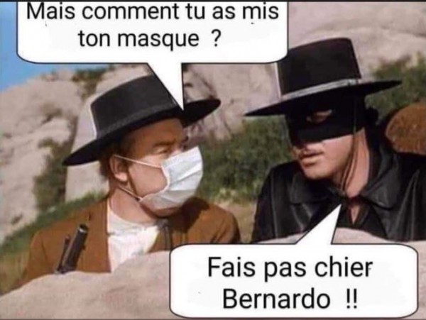 Zoro.JPG (52.8 Kio) Vu 1334 fois Zoro